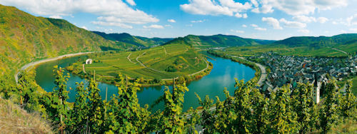 Mosel8